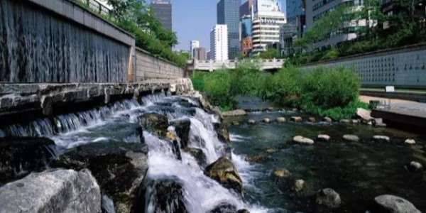 河道景观设计秘籍：驳岸、亲水、绿化、综合治理、生态修复及植物选择