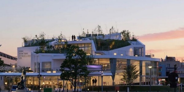 2022日本建筑学会奖获奖作品：太田市美术馆图书馆